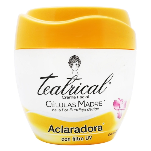 Imagen de Teatrical Células Madre Ultra Aclaradora 200 GRS