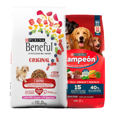 Imagen para la categoría Alimento Seco