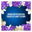 Imagen de Suavizante Downy Romance 2.6 LTS
