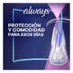 Imagen de Toallas Femeninas Always Seca Noches Tranquilas  8 PZS