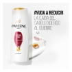 Imagen de Shampoo Pantene 2En1 Control Caída 400 MLL