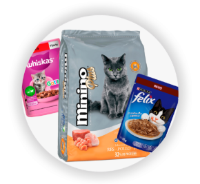 Imagen para la categoría Gatos