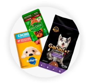 Imagen para la categoría Perros