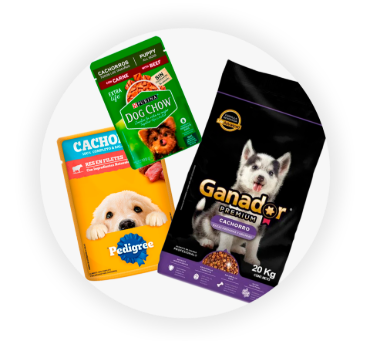 Imagen para la categoría Perros