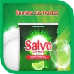 Imagen de Detergente Salvo En Polvo 500 GRS