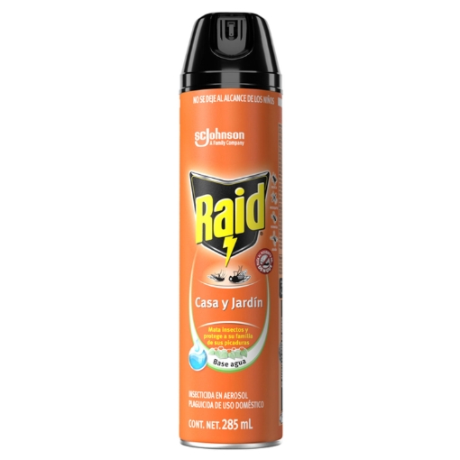 Imagen de Insecticida Raid Casa Y Jardin 285 MLL