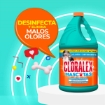 Imagen de Blanqueador Cloralex Mascotas Eliminador Heces/Orina 3.75 LTS