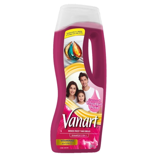 Imagen de Sh Vanart Acontrol Frizz 750 MLL