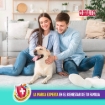 Imagen de Blanqueador Líquido Cloralex Mascotas 950 MLL
