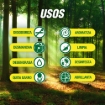 Imagen de Limpiador Pinol 828 MLL