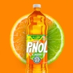 Imagen de Limpiador Pinol Escencia Citrica 500 MLL