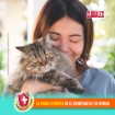 Imagen de Blanqueador Líquido Cloralex Mascotas Con Detergente 950 MLL
