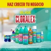Imagen de Blanqueador Líquido Cloralex Mascotas Con Detergente 950 MLL