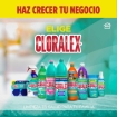 Imagen de Limpiador Cloralex Baños Antisarro 650 MLL