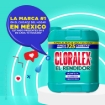 Imagen de Blanqueador Líquido Cloralex 10 LTS