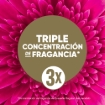 Imagen de SUAVIZANTE ENSUEÑO ULTRA FRESCURA PRIMAVERAL  740 MLL
