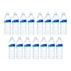 Imagen de Agua Maxima Premium 1 LTS